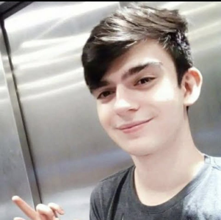 Mihai radu